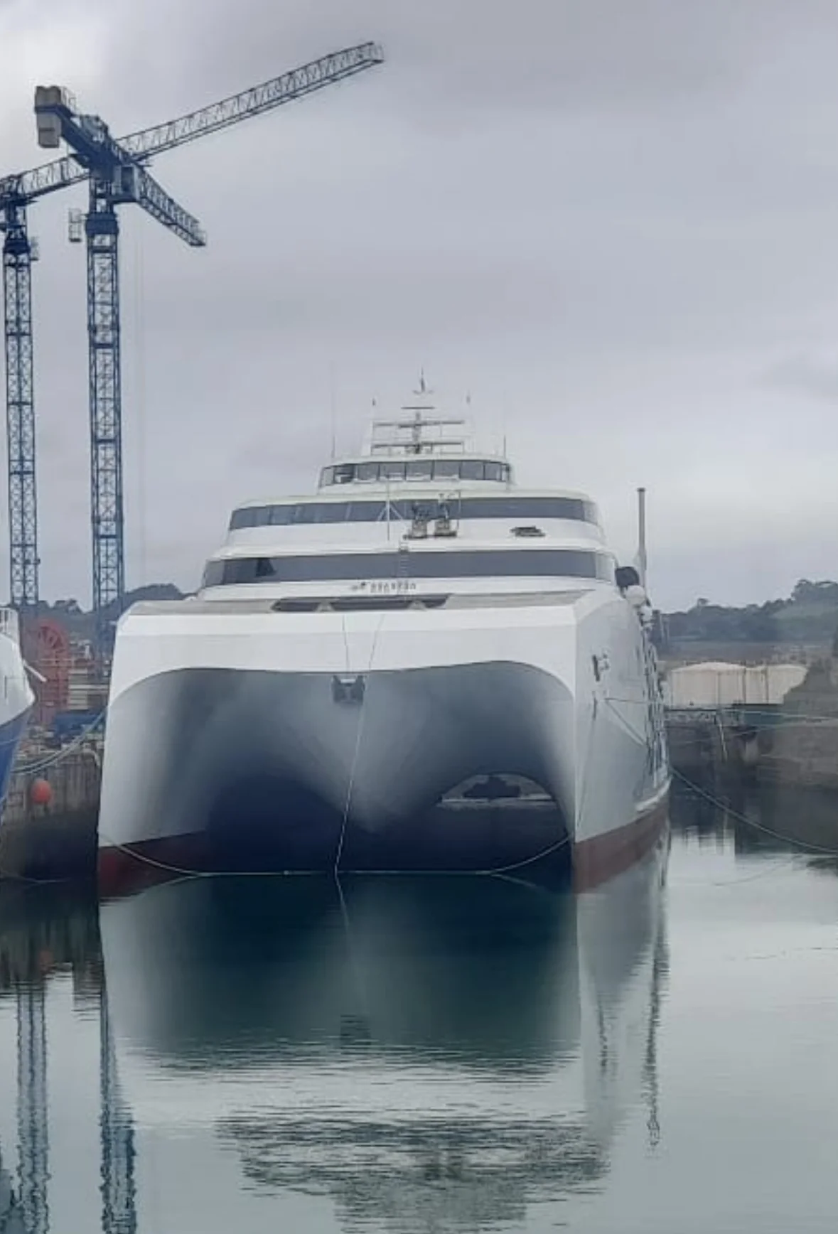 Proyecto Margarita Salas